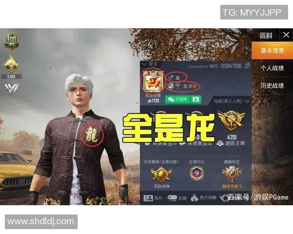 和平精英赛事分析聚焦FPX战队的比赛经验与战术策略探讨